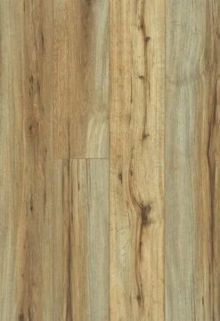 Best Flooring Store 3 Best Flooring Store -Best Flooring Store 09475533 1259d933 e9fa 4081 a931 e1d9cbbddaae 1800x1800