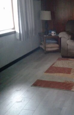 BuildDirect Ultra Grey 12mm 48" X 6.7" Laminate Flooring (26.68sq. Ft. Per Box) 14 BuildDirect Ultra Grey 12mm 48" X 6.7" Laminate Flooring (26.68sq. Ft. Per Box) -Best Flooring Store 4d595861 9cfe 4c78 b2c4 1f8235257db6 1.f9c584c699ac2cfc7007b6392da5ce35 1800x1800