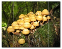 Mushroom Ceramic Tile Mural Kitchen Backsplash Bathroom Shower, 401214-S54