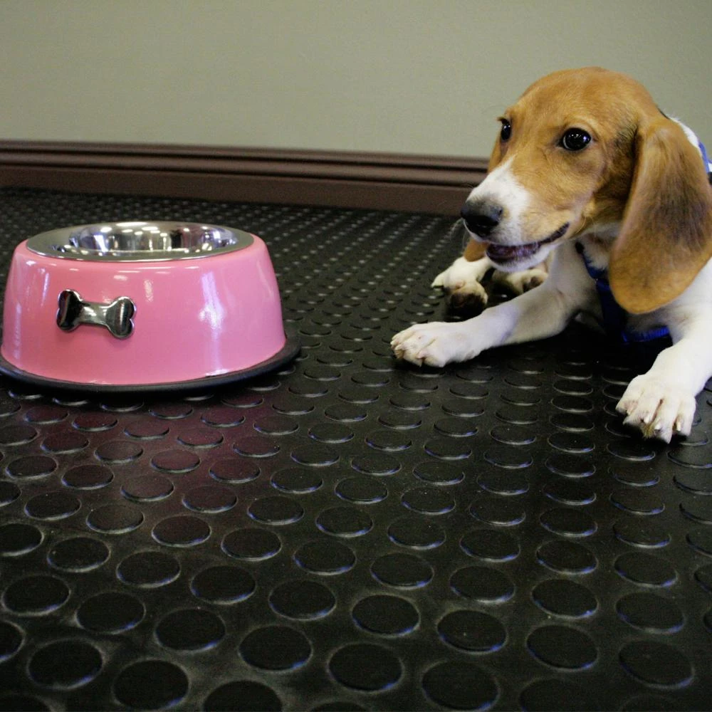 Rubber-Cal Coin Grip 4 Ft. X 20 Ft. Dark Grey Commercial Grade PVC Flooring 6 Rubber-Cal Coin Grip 4 Ft. X 20 Ft. Dark Grey Commercial Grade PVC Flooring - Image 6