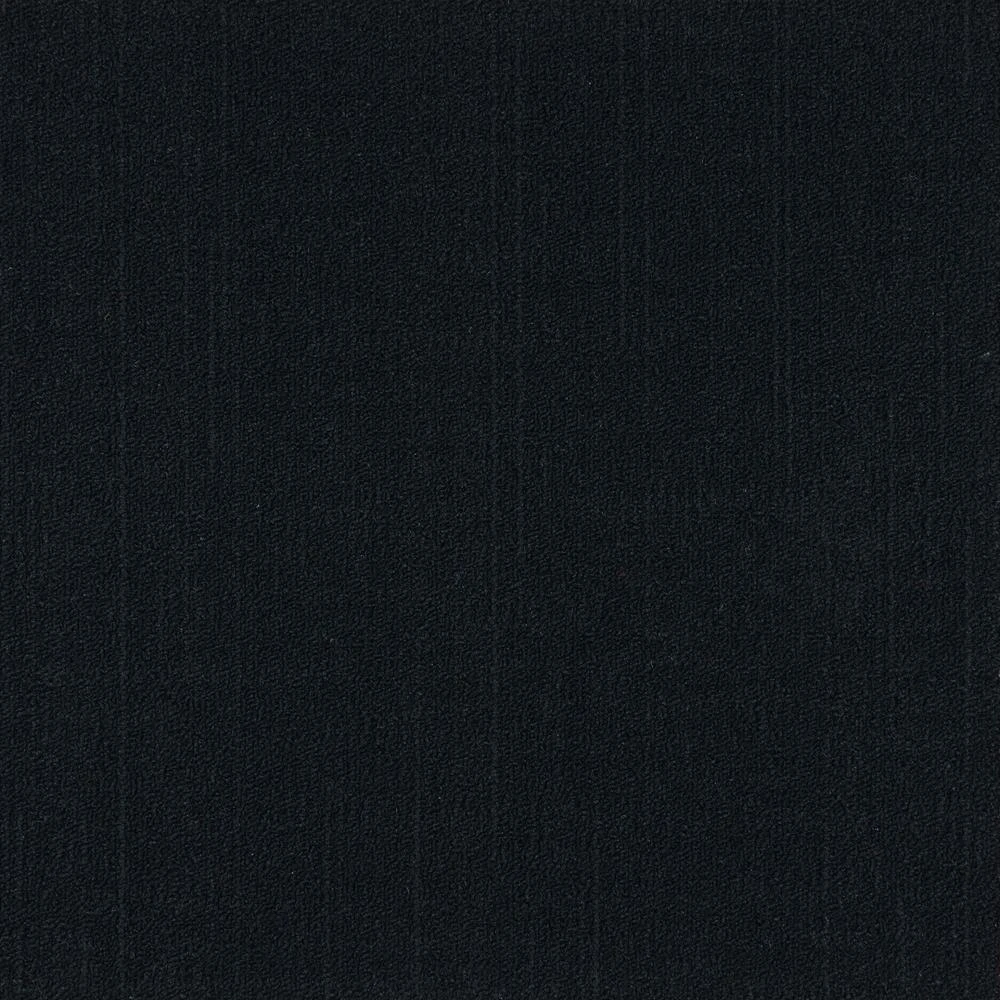 19.68 In. X 19.68 In. Reed Black Level Loop Carpet Tile (8 In. Tiles/Case) 1 19.68 In. X 19.68 In. Reed Black Level Loop Carpet Tile (8 In. Tiles/Case)